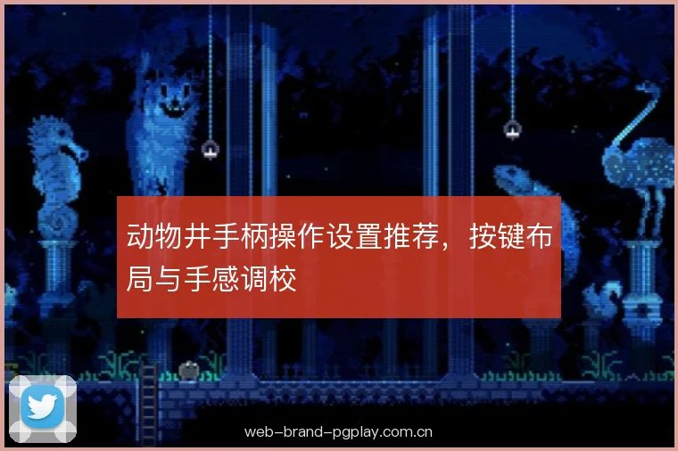 动物井手柄操作设置推荐，按键布局与手感调校